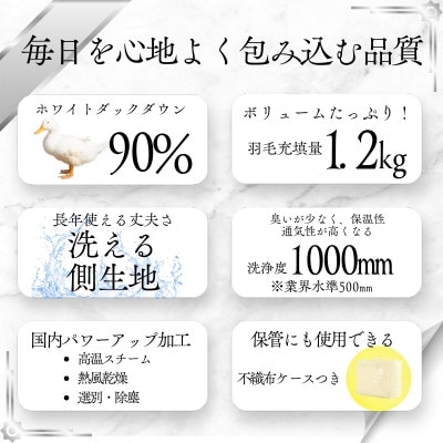 【洗える】羽毛布団シングル 羽毛1.2kg 北欧デザイン ベージュ抗菌防臭加工あったかい日本製