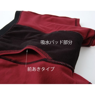 吸水付き ボクサーパンツ 10cc Lサイズ (赤パンツ) 尿漏れパンツ 男性用 (メンズ)