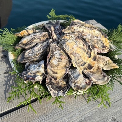 《冷凍殻付》ぷりぷり牡蠣のカンカン焼きセット(約1.6kg～1.8kg|約18個前後)　牡蠣佃煮付き【配送不可地域：離島】