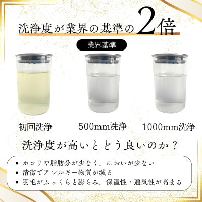 〈超長綿100%60番手サテン織〉羽毛布団 本掛け ダブル ホワイトダックダウン93%Dp380