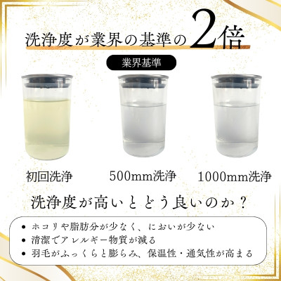 〈超長綿100%60番手サテン織〉羽毛布団 本掛け クイーン ホワイトダックダウン93%Dp380