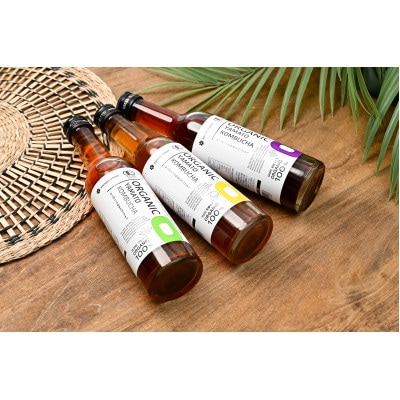 砂糖を使わず「アガベ」で発酵させた3種のオーガニック(有機)コンブチャ　(280ml×12本)