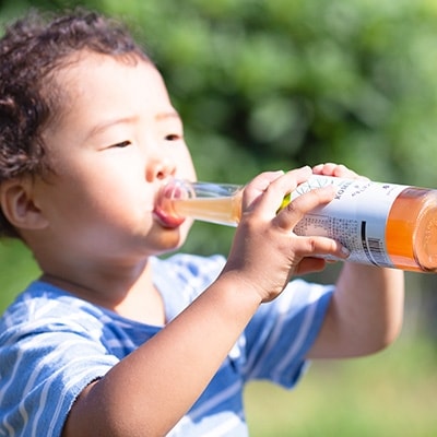 老舗酵素メーカー「大和酵素」が作る、 本物のコンブチャ　(280ml×24本)