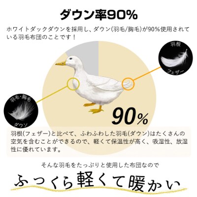 【洗える】春夏用羽毛肌掛け布団シングルダウン90%クリーム2枚セット抗菌防臭防ダニ立体キルト