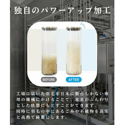 【訳アリ】色柄お楽しみ羽毛ふとん 超長綿生地100% シングルダウン93%1.2kg羽毛掛けふとん