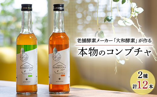 老舗酵素メーカー「大和酵素」が作る、 本物のコンブチャ　(280ml×12本)