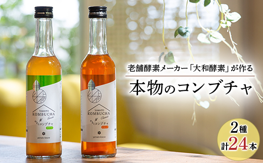 老舗酵素メーカー「大和酵素」が作る、 本物のコンブチャ　(280ml×24本)