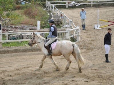 乗馬クラブFRTの乗馬教室チケット（022_5002）