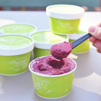 ソルベ＆ジェラート「Nido GELATO」(2種 計6個)【Humming Fields】（025_5003）