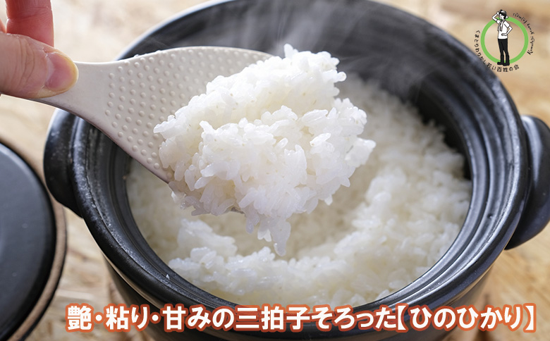 【令和7年度産】大阪府熊取町「わりかし若い百姓の会」の美味しいお米　ひのひかり　5㎏（033_5003）