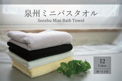 泉州ミニバスタオル3枚セット（037_5001）