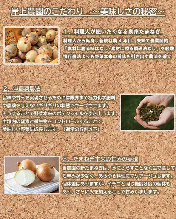 ＜2026年5月中旬順次発送 先行予約＞岸上農園　泉州玉ねぎ　約５kg（043_5001）