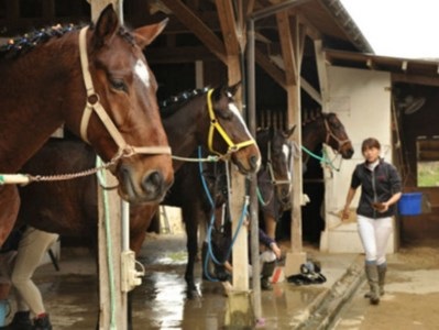 乗馬クラブFRTの体験乗馬チケット（022_5001）