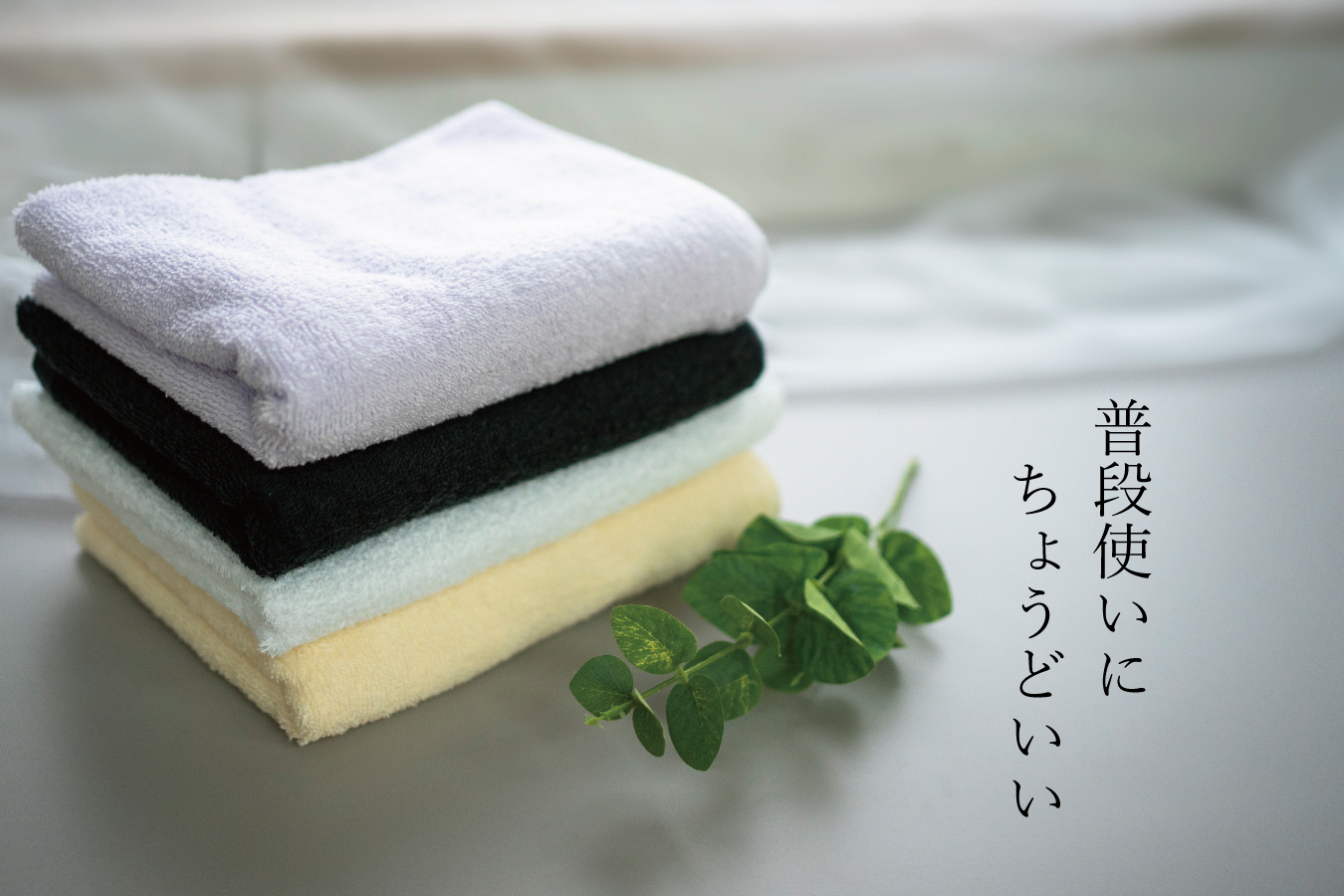 泉州ミニバスタオル2枚セット（037_5004）