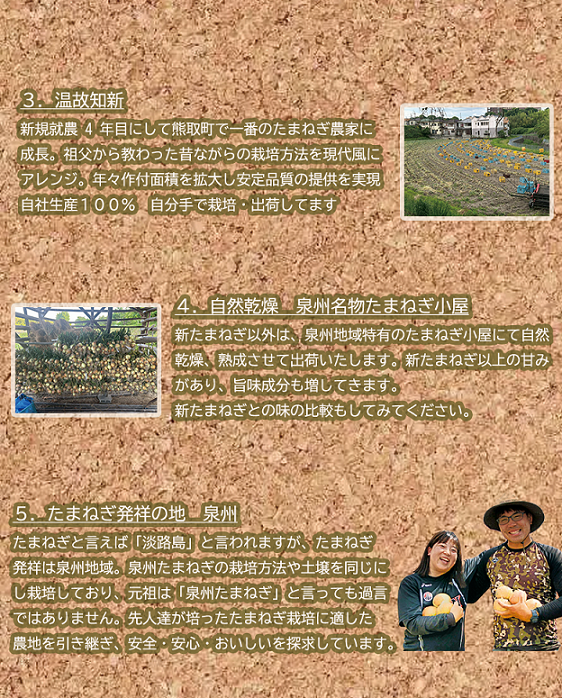 ＜2026年5月中旬順次発送 先行予約＞岸上農園　泉州玉ねぎ　約５kg（043_5001）