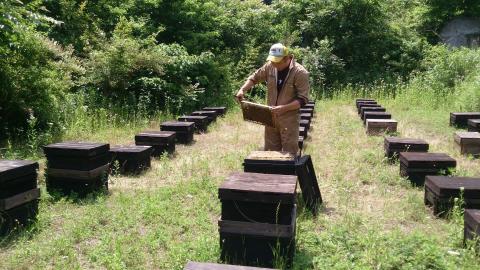 なまハチミツ180g　4本セット（013_5002）