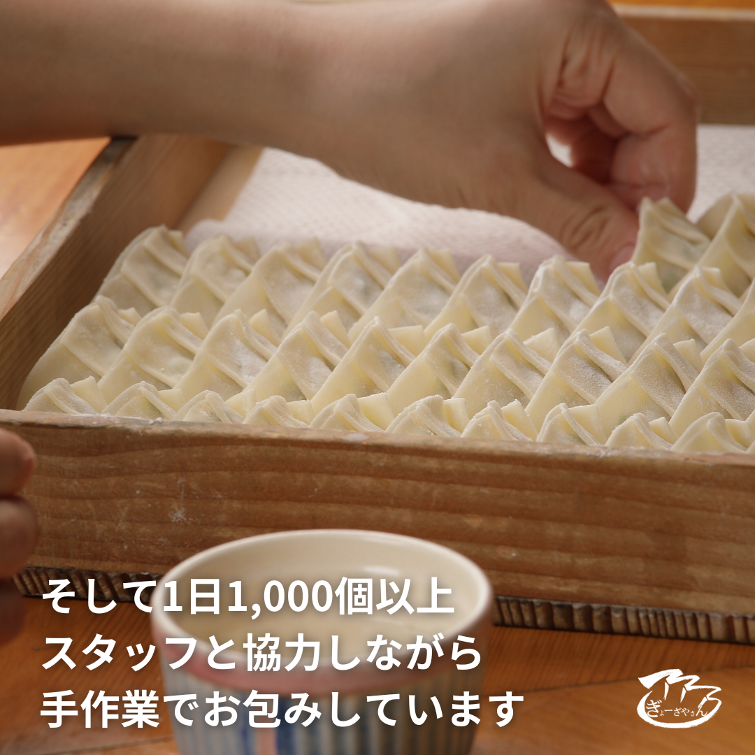 【ANA限定】⑧ぎょーざやさんのしそ餃子54個入り（027_5010）※北海道・沖縄・離島への配送不可