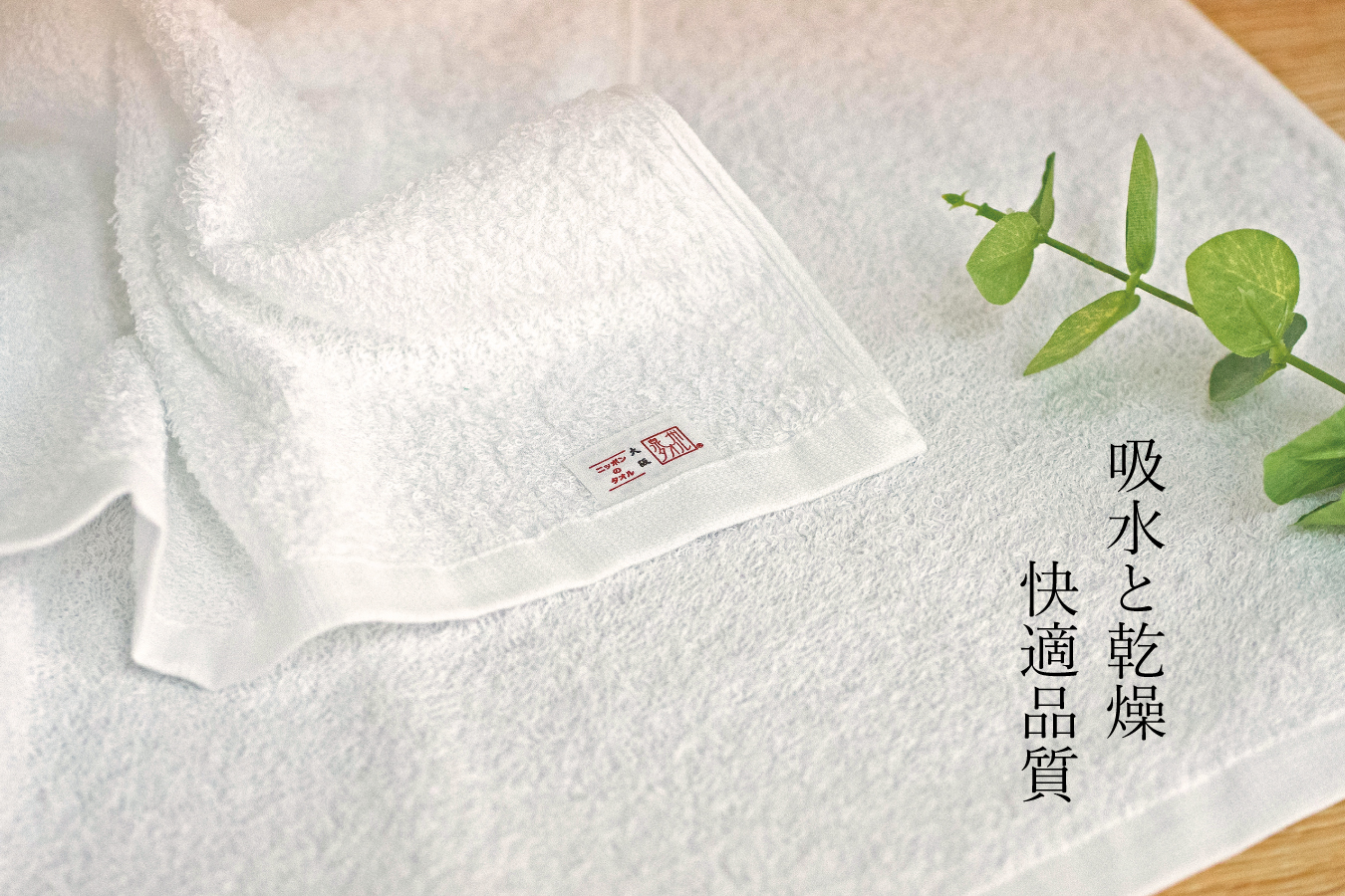 泉州ミニバスタオル2枚セット（037_5004）