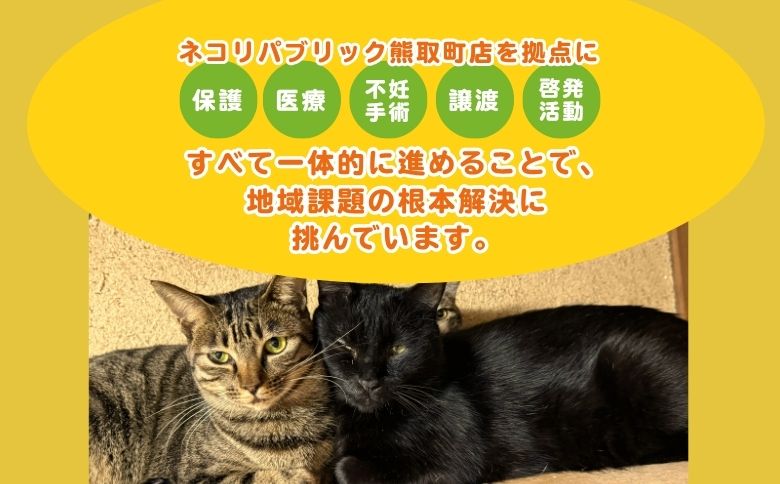 保護猫活動まるごと応援チケット（047_5001）
