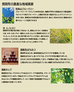 Kuma Tsumugi クラフトビ－ル【飲み比べ４種（Blueberry 02　Dry１本、Blueberry 03　Sour１本、Rice 04　IPA２本、Hony05　White Ale２本）　計６本セット】（041_5001）