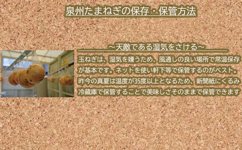 ＜2026年5月中旬順次発送 先行予約＞岸上農園　泉州玉ねぎ　約１０kg（043_5002）