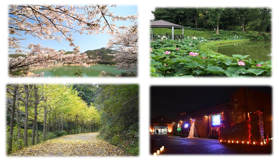 グローバル人材の育成に関する事業（000_001）