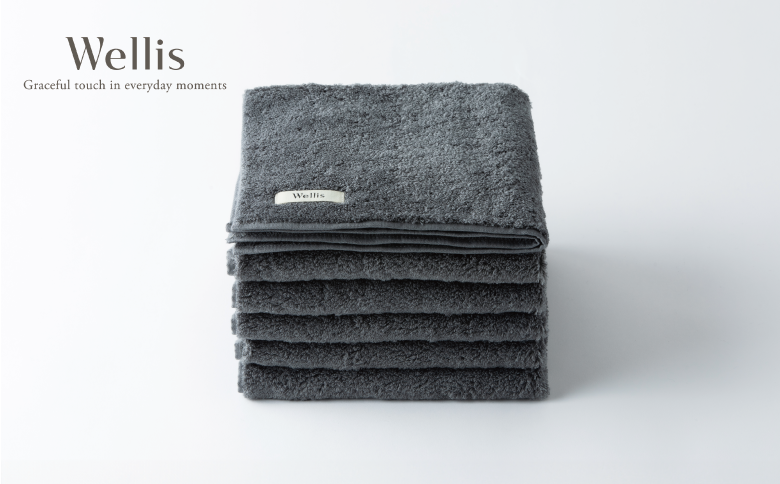 Wellis【極上の肌心地】ウォッシュタオル2枚 グレー（009_5121）