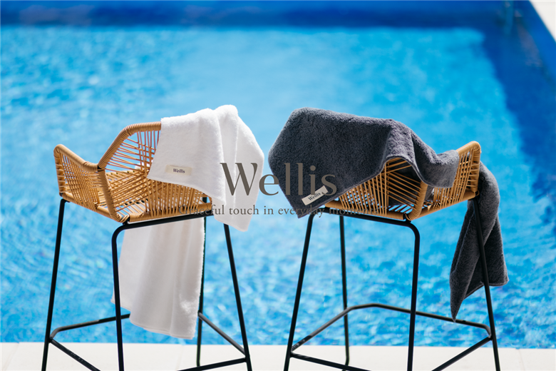 【ＡＮＡ限定　タオルハンカチプレゼント】Wellis バスタオル2枚（009_5156）