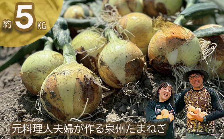 ＜2026年5月中旬順次発送 先行予約＞岸上農園　泉州玉ねぎ　約５kg（043_5001）