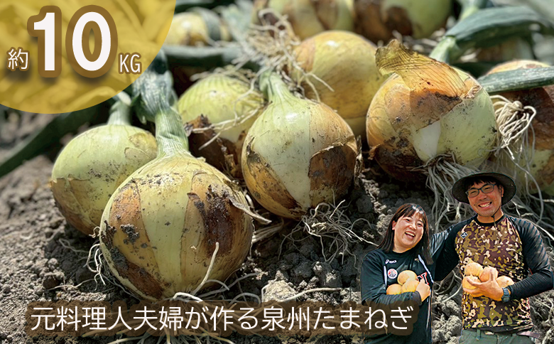 ＜2026年5月中旬順次発送 先行予約＞岸上農園　泉州玉ねぎ　約１０kg（043_5002）