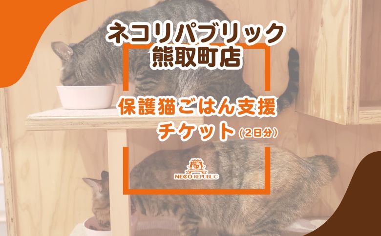 保護猫ごはん支援（2日分）チケット(047_5003）