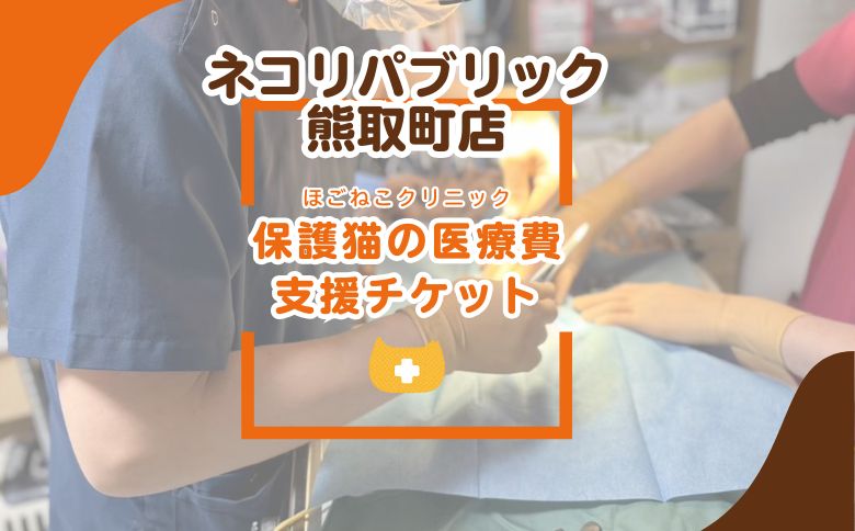 保護猫の医療費支援チケット（047_5004）