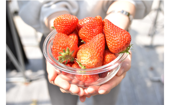 【紅ほっぺ】MIX（サイズいろいろ）1kg程度