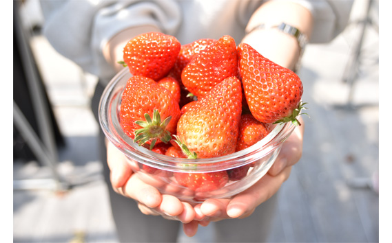 【紅ほっぺ】MIX（サイズいろいろ）2kg程度