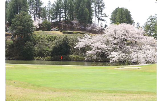 大阪府　グロワールゴルフ倶楽部【平日】セルフ4名様プレー券／昼食付