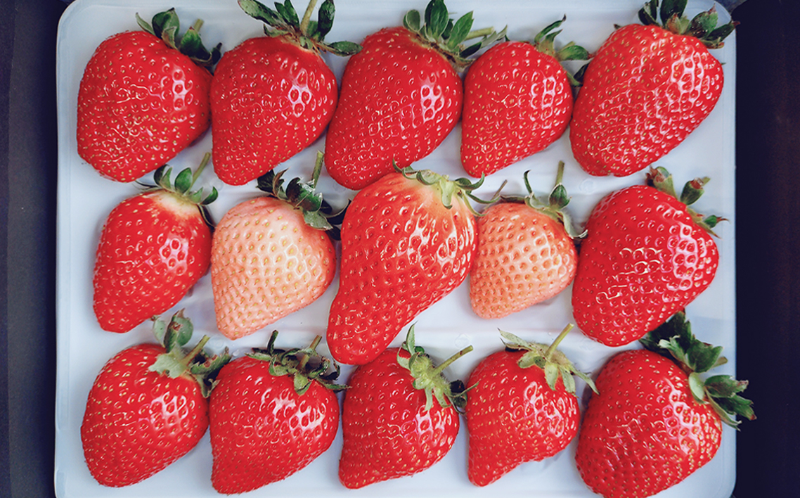 完熟苺ミックス15粒贈答用BOX