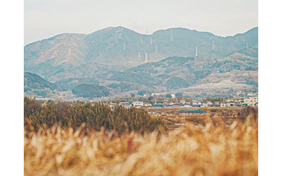 【北浜】ABITACOLO 河南町野菜のコース料理チケット ２名様分