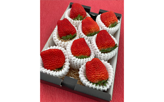 【紅ほっぺ】プレミアムいちご