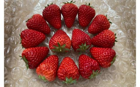 【紅ほっぺ】MIX（サイズいろいろ）300-400g程度