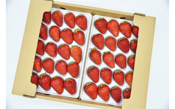 【紅ほっぺ】2Lサイズ（40粒）