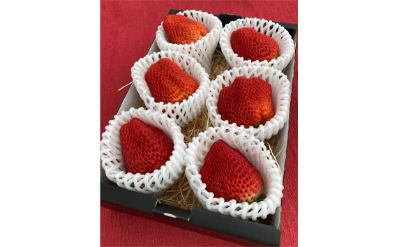 【紅ほっぺ】プレミアムいちご