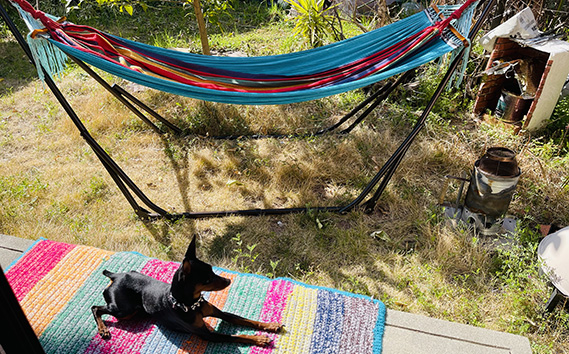 アロマリンパマッサージ