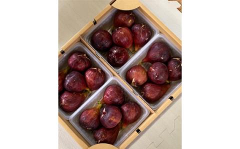 朝採りいちじく　約2kg