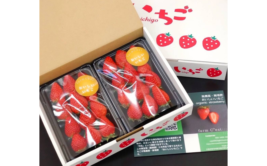 訳あり　おいしいいちご　有機JAS認証いちご　700g　36粒