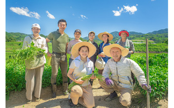 河南町新鮮アジア野菜「お試しセット」