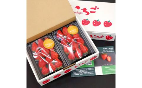 【無添加・無農薬】家庭用　おいしいいちご　2パック　約500g