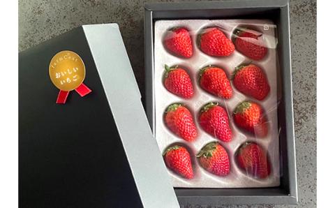 【無添加・無農薬】贈答用　おいしいいちご　1箱