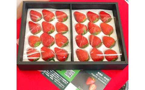 【無添加・無農薬】贈答用　おいしいいちご　2箱