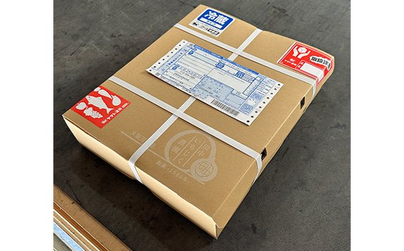 いちじく 朝採り 【2026年配送】　約4kg