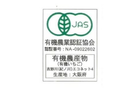 訳あり　おいしいいちご　有機JAS認証いちご　700g　36粒